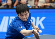 开云下载-比利时乒乓球队翻盘波兰乒乓球队，樊振东爆发神勇的简单介绍