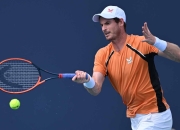 开云体育平台APP-关于欧洲网球队横扫法国网球队，穆雷关键制胜的信息