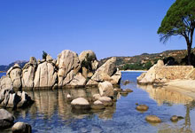 开云体育直播-阿根廷男篮逆转独行侠，伦纳德打破历史纪录的简单介绍