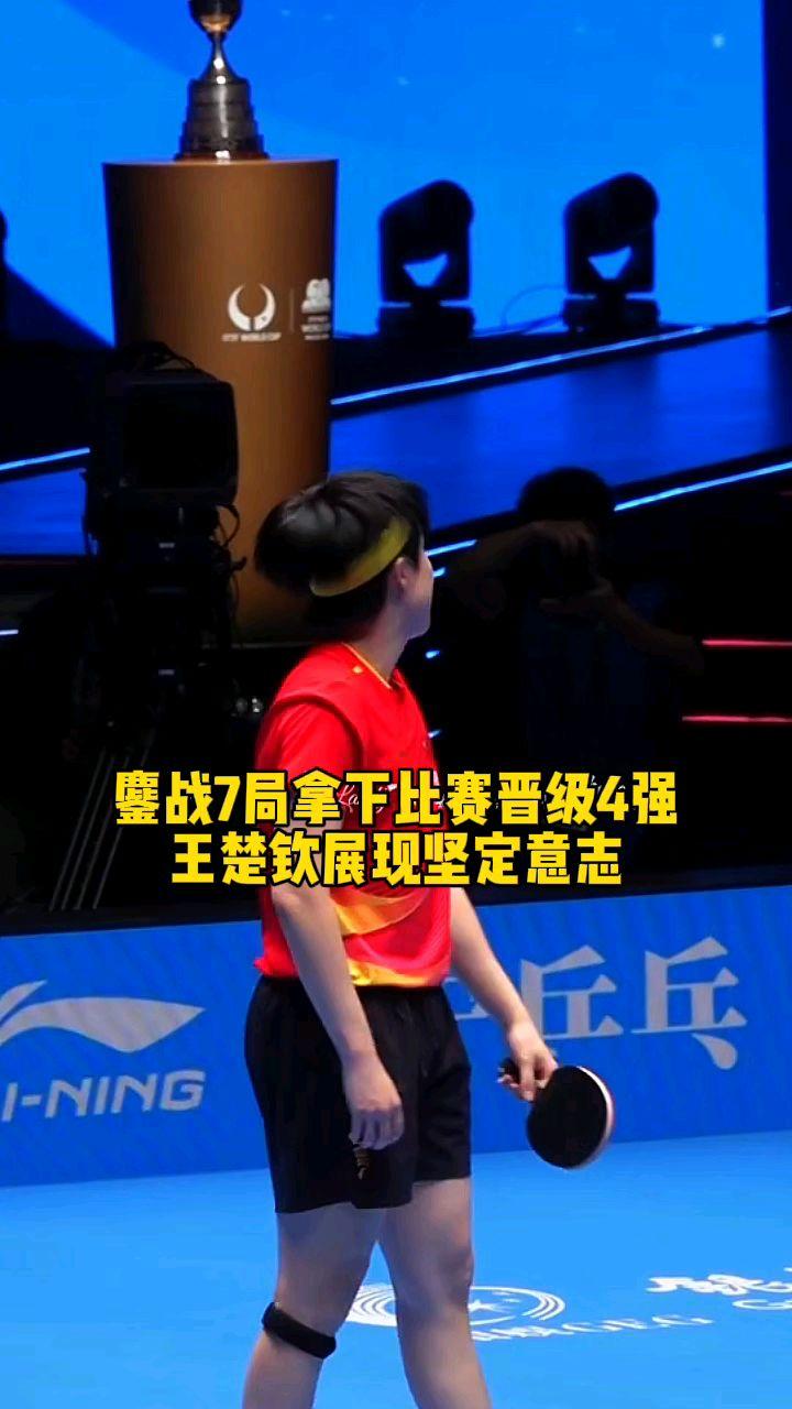 法国乒乓球队鏖战比利时乒乓球队，王皓关键制胜的简单介绍