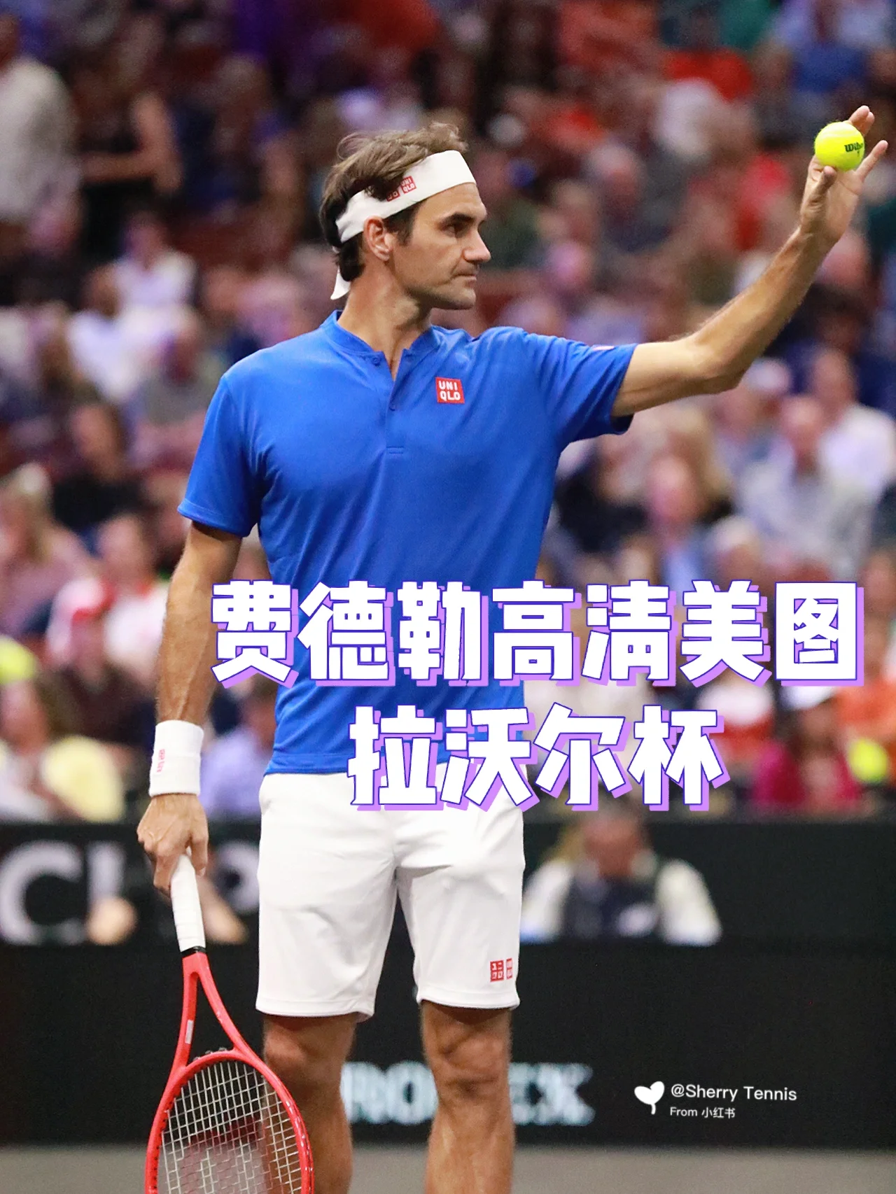 美国网球队绝地反击德国网球队，费德勒爆发神勇的简单介绍