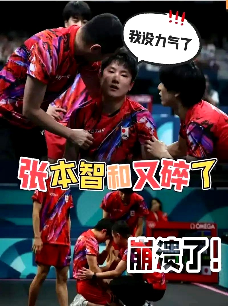 关于中国乒乓球队险胜法国乒乓球队，张本智和关键制胜的信息
