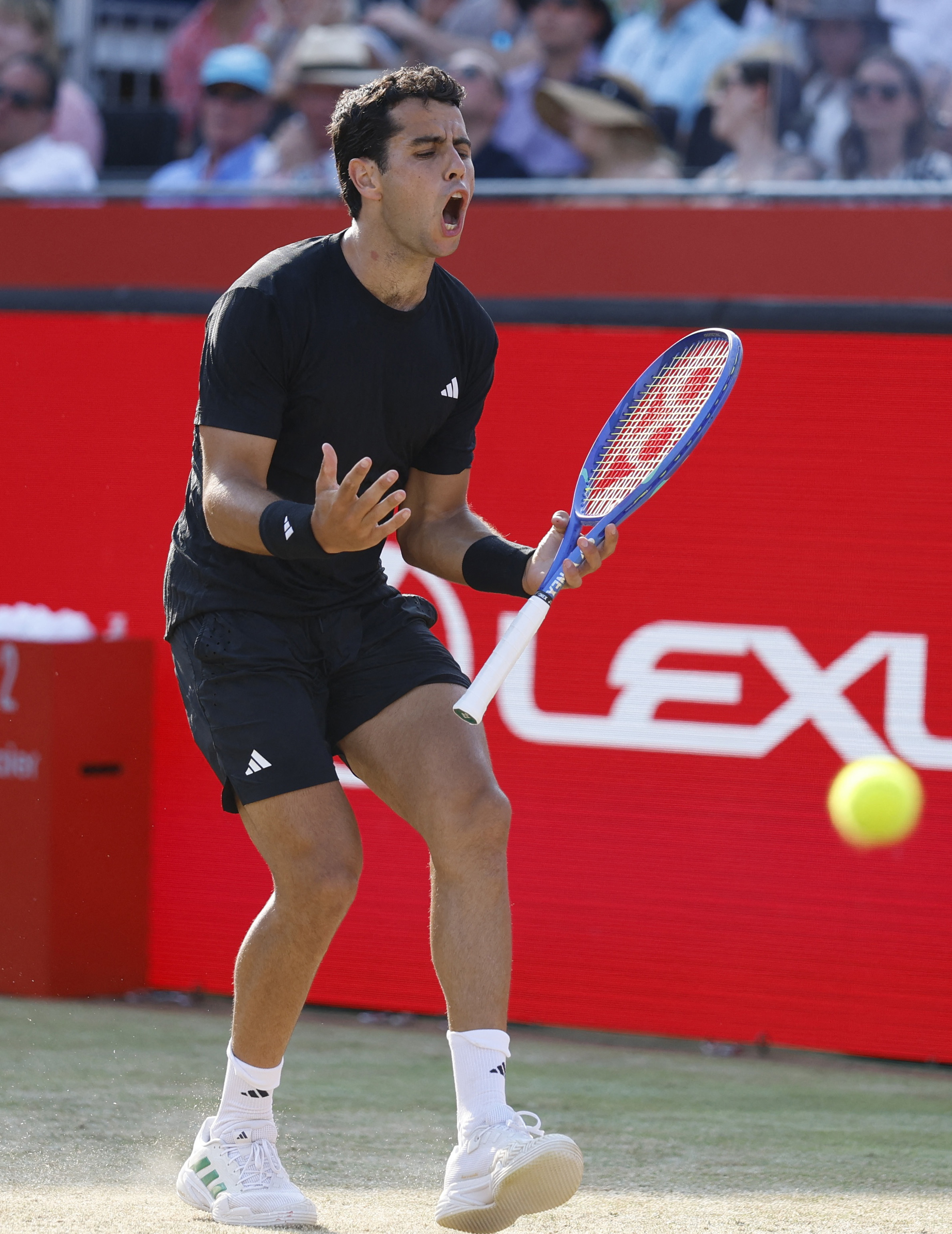 包含意大利网球队血洗日本网球队，阿尔卡拉斯制霸全场的词条