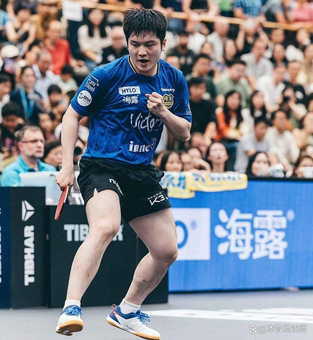 包含德国乒乓球队血洗波兰乒乓球队，樊振东爆发神勇的词条