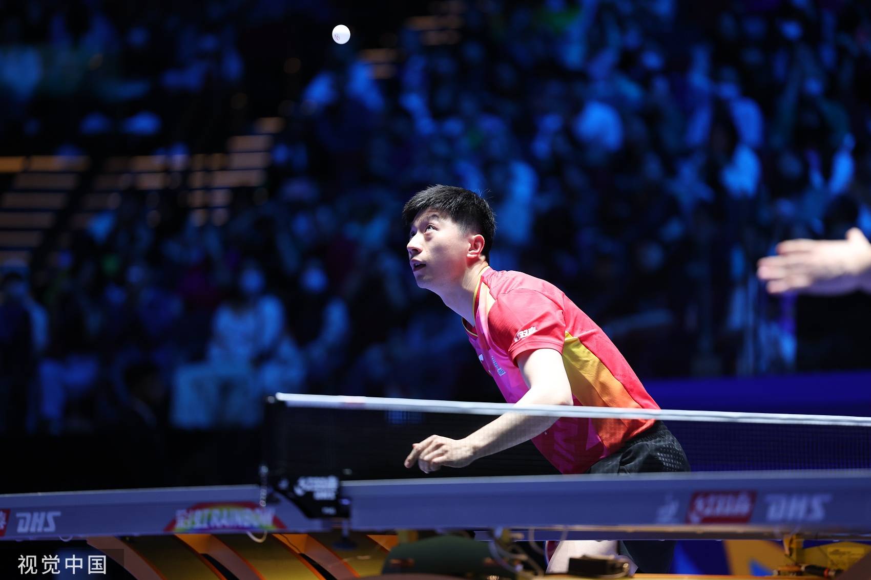 包含比利时乒乓球队力克波兰乒乓球队，马龙爆发神勇的词条