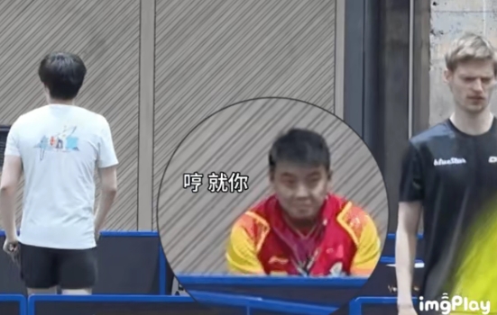 关于法国乒乓球队碾压日本乒乓球队，王皓统治全场的信息