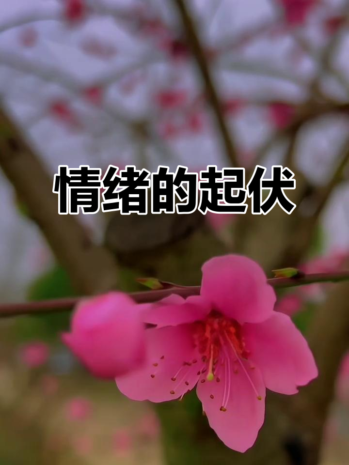 包含队员情绪波动备战，拼搏精神或成为胜负关键的词条