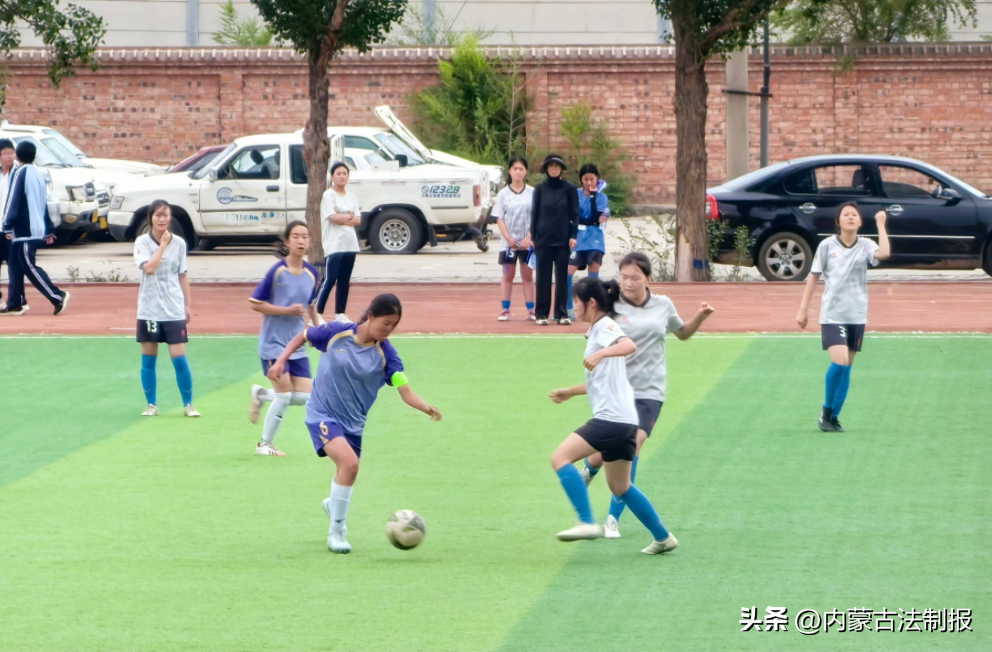 呼和浩特队员备战比赛，教练组全力培养队员的简单介绍