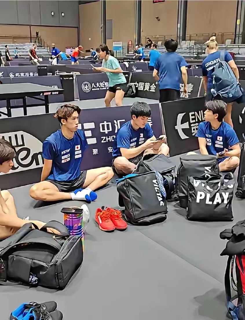 包含日本队完胜奥地利队，张本智和扛起全队的词条