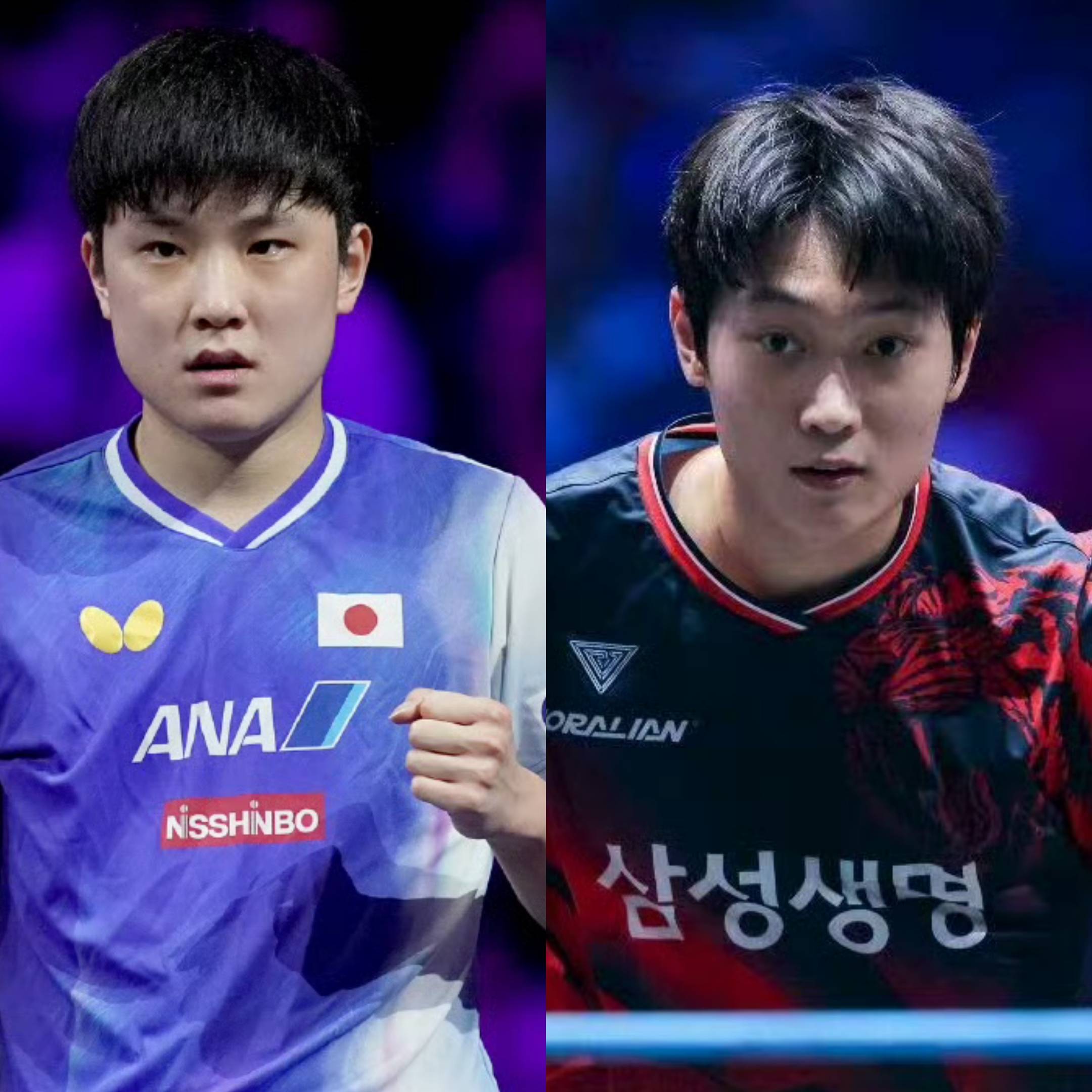 包含日本队轻取葡萄牙队，张本智和高光表现的词条