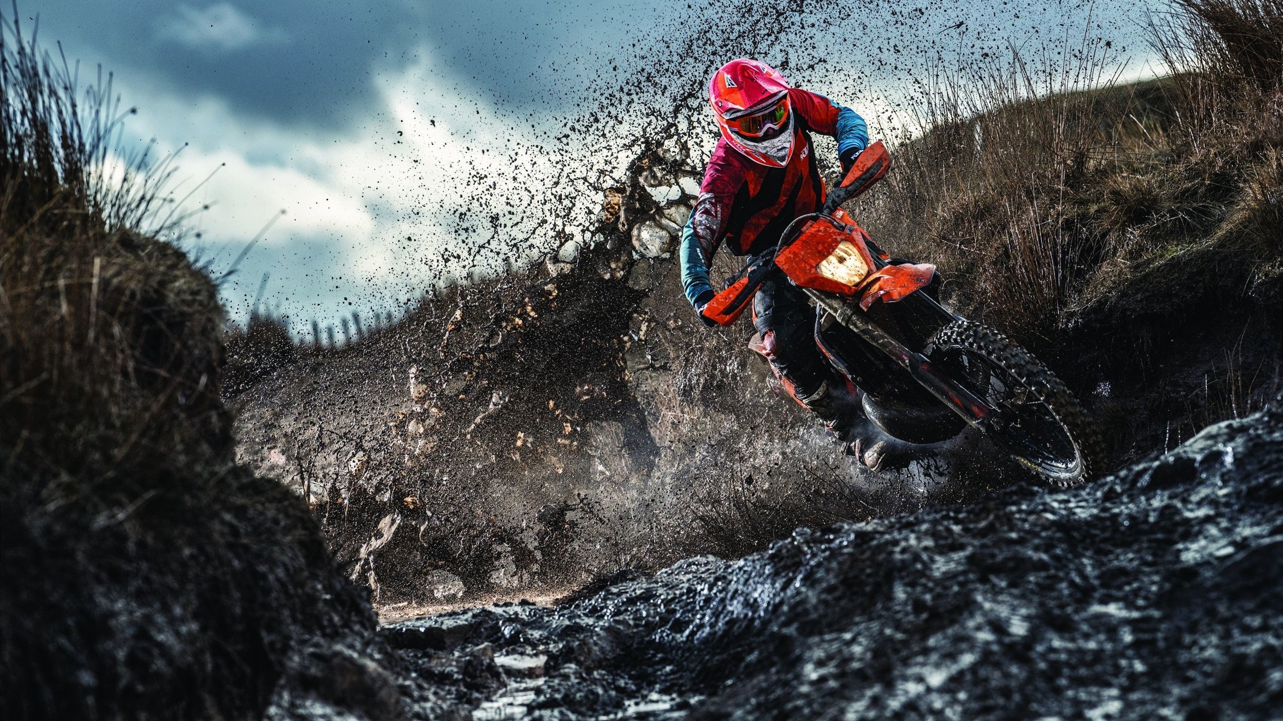 跨界决胜时刻，吉林队绝境擒灰熊，莫兰特欧冠赛场展接管艺术